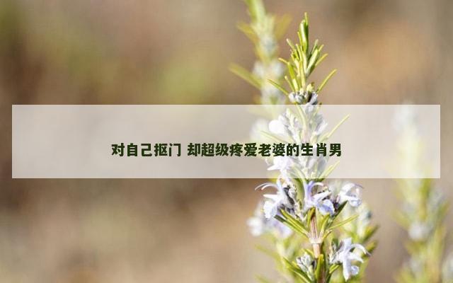 对自己抠门 却超级疼爱老婆的生肖男