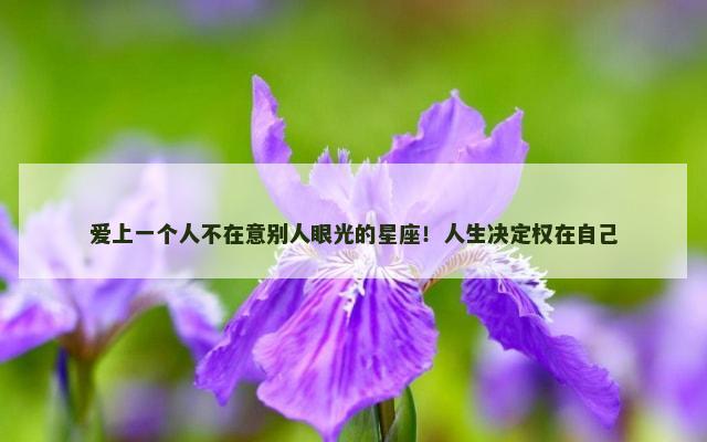 爱上一个人不在意别人眼光的星座！人生决定权在自己
