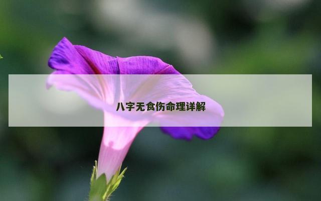 八字无食伤命理详解