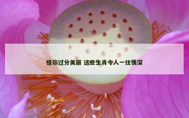 怪你过分美丽 这些生肖令人一往情深