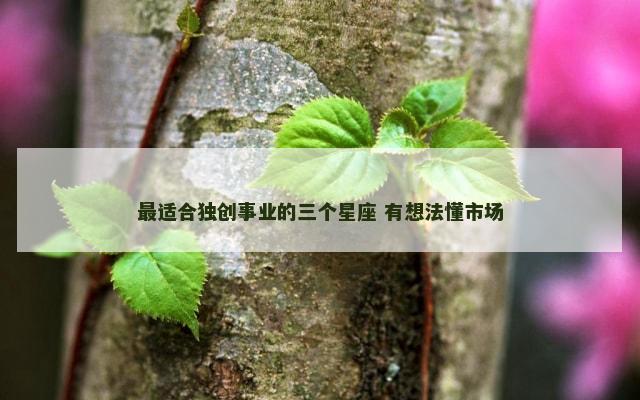 最适合独创事业的三个星座 有想法懂市场
