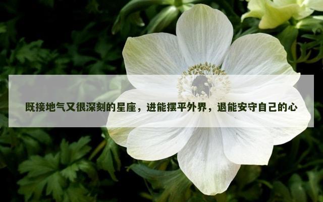既接地气又很深刻的星座，进能摆平外界，退能安守自己的心