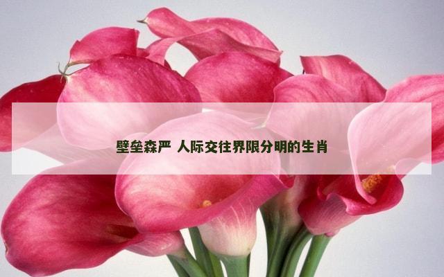 壁垒森严 人际交往界限分明的生肖