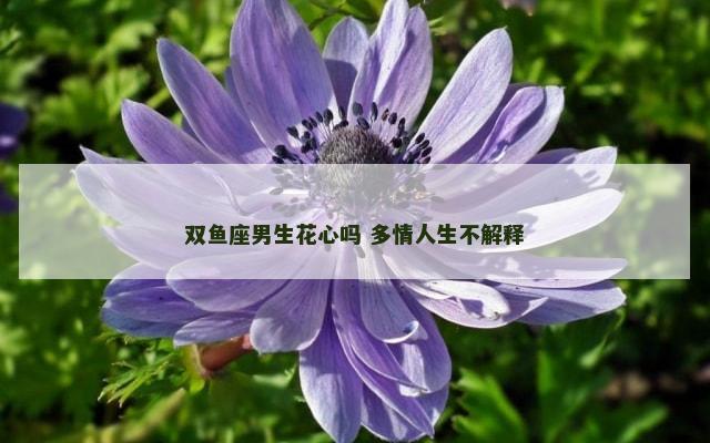 双鱼座男生花心吗 多情人生不解释