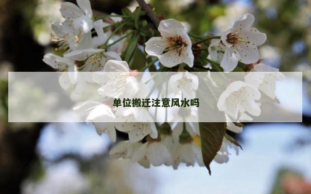 单位搬迁注意风水吗