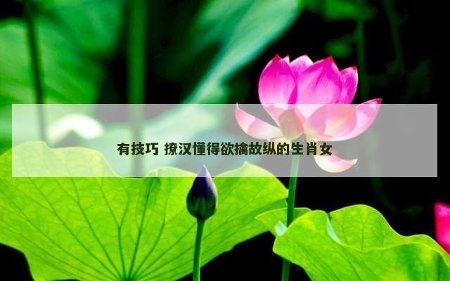 有技巧 撩汉懂得欲擒故纵的生肖女