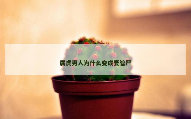 属虎男人为什么变成妻管严
