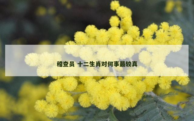 稽查员 十二生肖对何事最较真