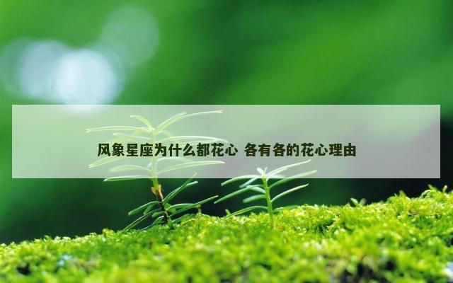 风象星座为什么都花心 各有各的花心理由