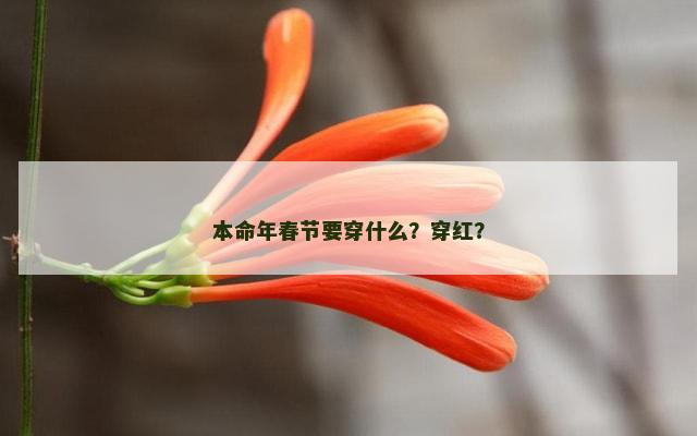 本命年春节要穿什么？穿红？