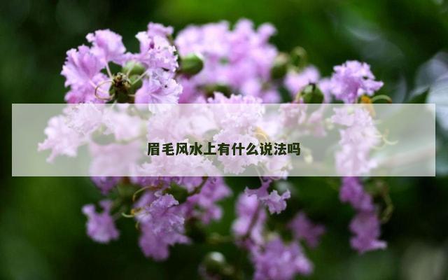 眉毛风水上有什么说法吗