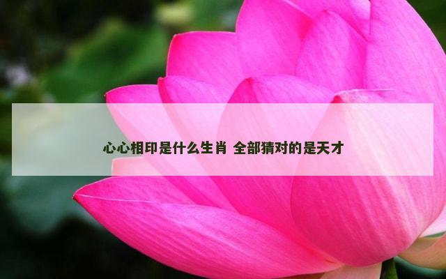 心心相印是什么生肖 全部猜对的是天才