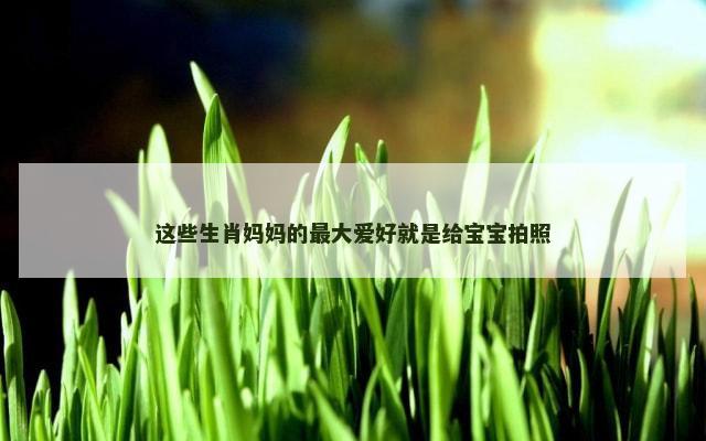 这些生肖妈妈的最大爱好就是给宝宝拍照