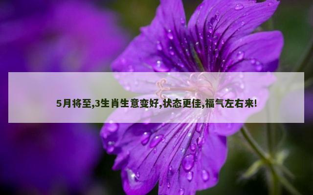 5月将至,3生肖生意变好,状态更佳,福气左右来!