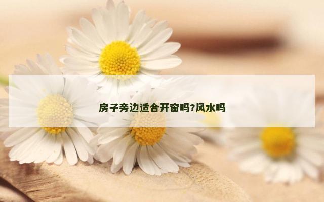 房子旁边适合开窗吗?风水吗