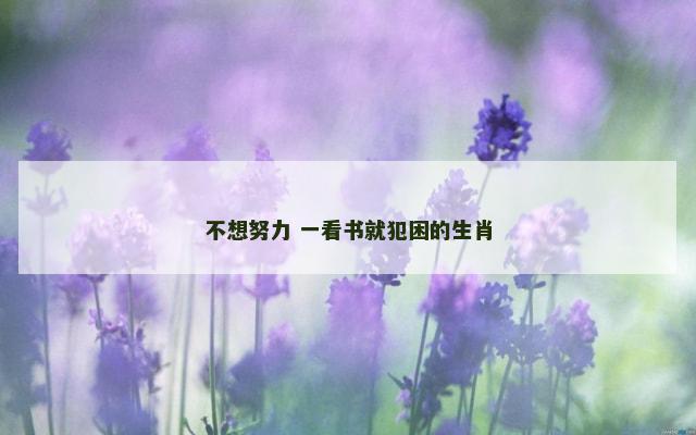 不想努力 一看书就犯困的生肖