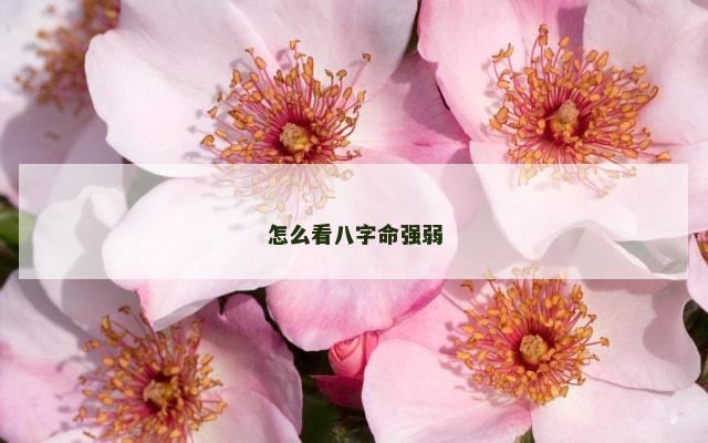 怎么看八字命强弱
