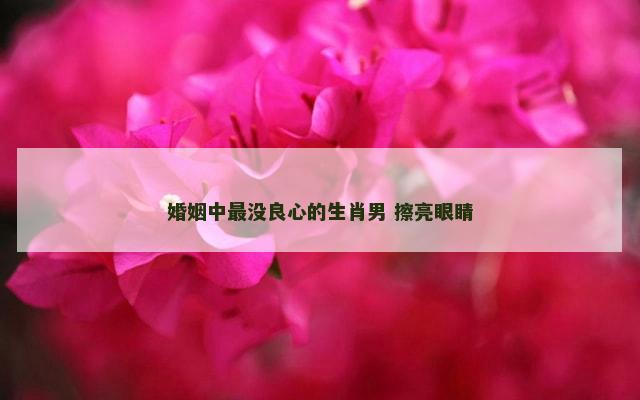 婚姻中最没良心的生肖男 擦亮眼睛