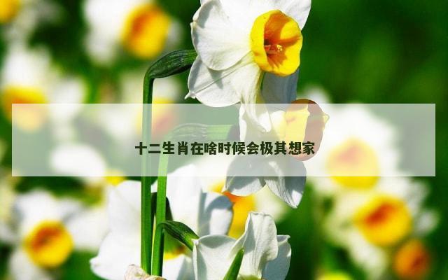 十二生肖在啥时候会极其想家