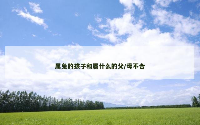 属兔的孩子和属什么的父/母不合