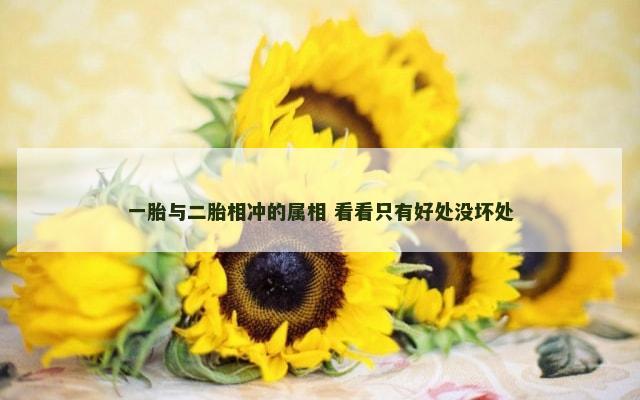一胎与二胎相冲的属相 看看只有好处没坏处