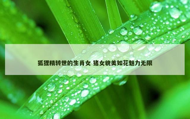 狐狸精转世的生肖女 猪女貌美如花魅力无限