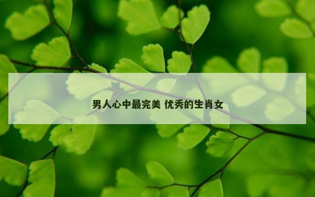 男人心中最完美 优秀的生肖女