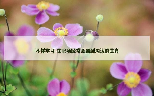 不懂学习 在职场经常会遭到淘汰的生肖