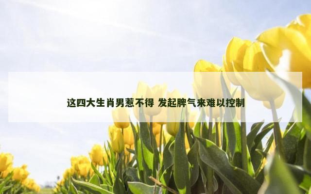 这四大生肖男惹不得 发起脾气来难以控制