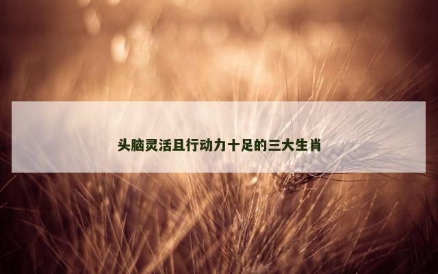 头脑灵活且行动力十足的三大生肖