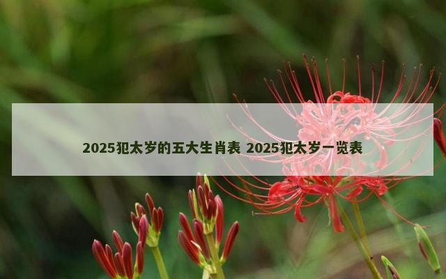 2025犯太岁的五大生肖表 2025犯太岁一览表