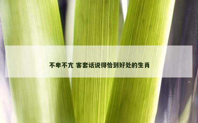 不卑不亢 客套话说得恰到好处的生肖