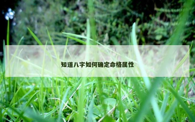 知道八字如何确定命格属性