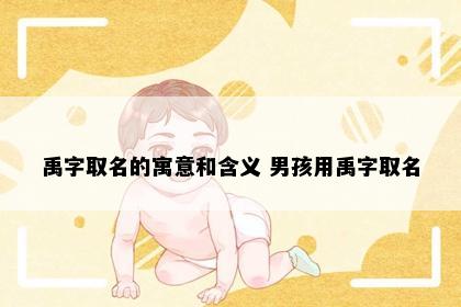 禹字取名的寓意和含义 男孩用禹字取名