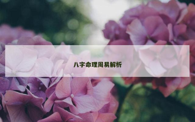 八字命理周易解析