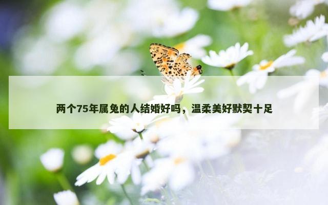 两个75年属兔的人结婚好吗，温柔美好默契十足