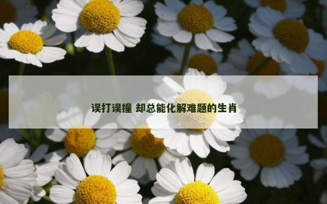误打误撞 却总能化解难题的生肖