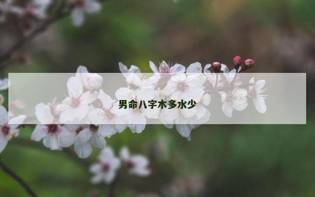 男命八字木多水少