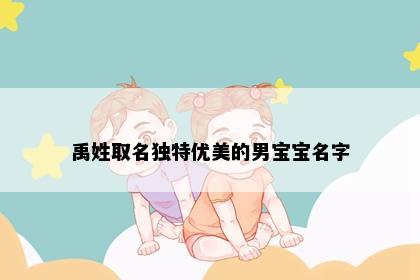 禹姓取名独特优美的男宝宝名字