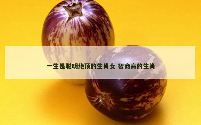 一生是聪明绝顶的生肖女 智商高的生肖