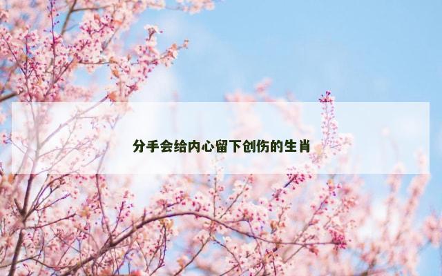 分手会给内心留下创伤的生肖
