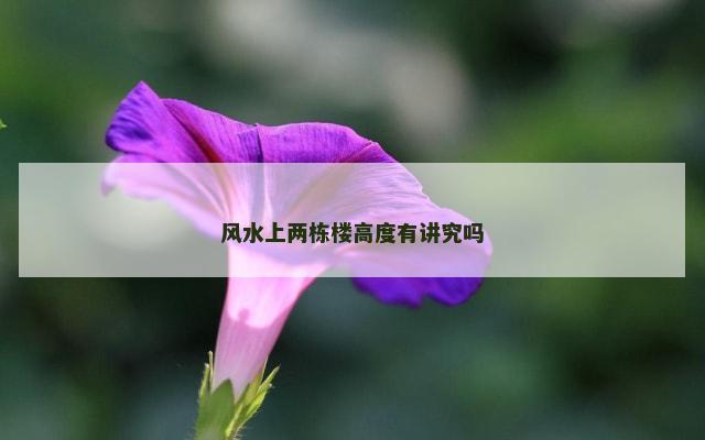 风水上两栋楼高度有讲究吗