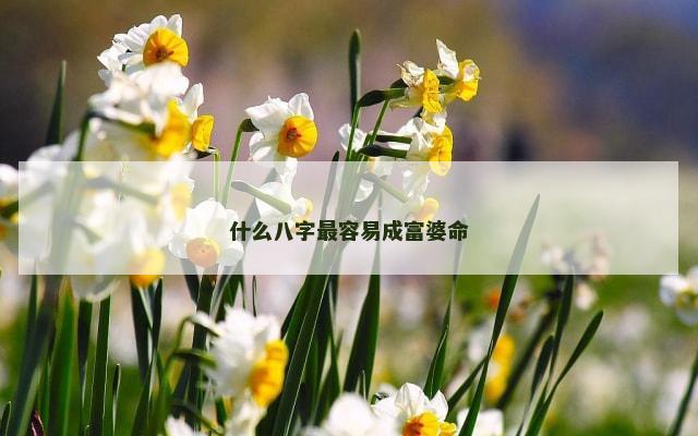 什么八字最容易成富婆命