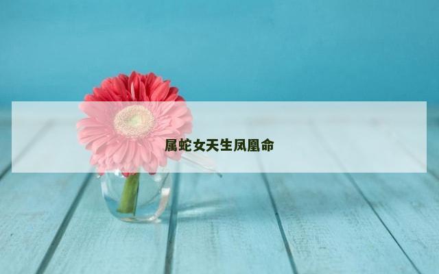 属蛇女天生凤凰命