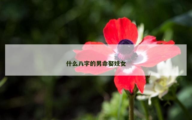 什么八字的男命娶妓女