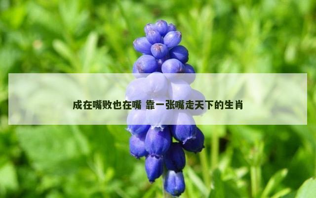 成在嘴败也在嘴 靠一张嘴走天下的生肖