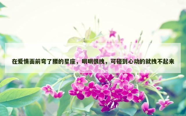 在爱情面前弯了腰的星座，明明很拽，可碰到心动的就拽不起来