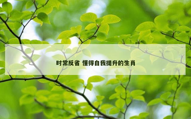 时常反省 懂得自我提升的生肖