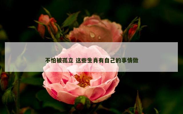 不怕被孤立 这些生肖有自己的事情做