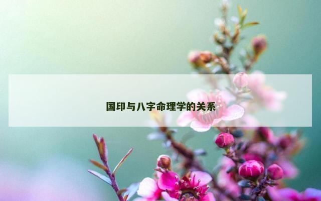 国印与八字命理学的关系